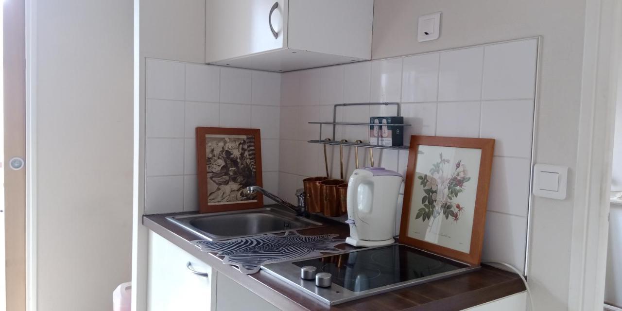 Paris Authentic House Small, Bright And Calm Studio Bagian luar foto